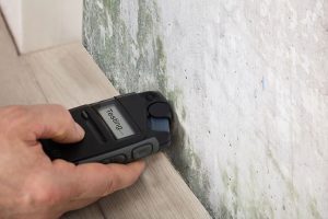 Signs You Should Hire Mold Testing Services