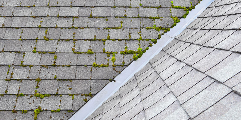 Why You Should Always Get a Roof Inspection Before Buying a Home